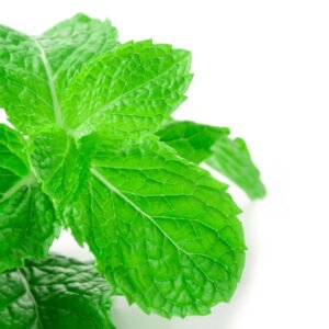 fresh spearmint leaves isolated white background close up beautiful mint